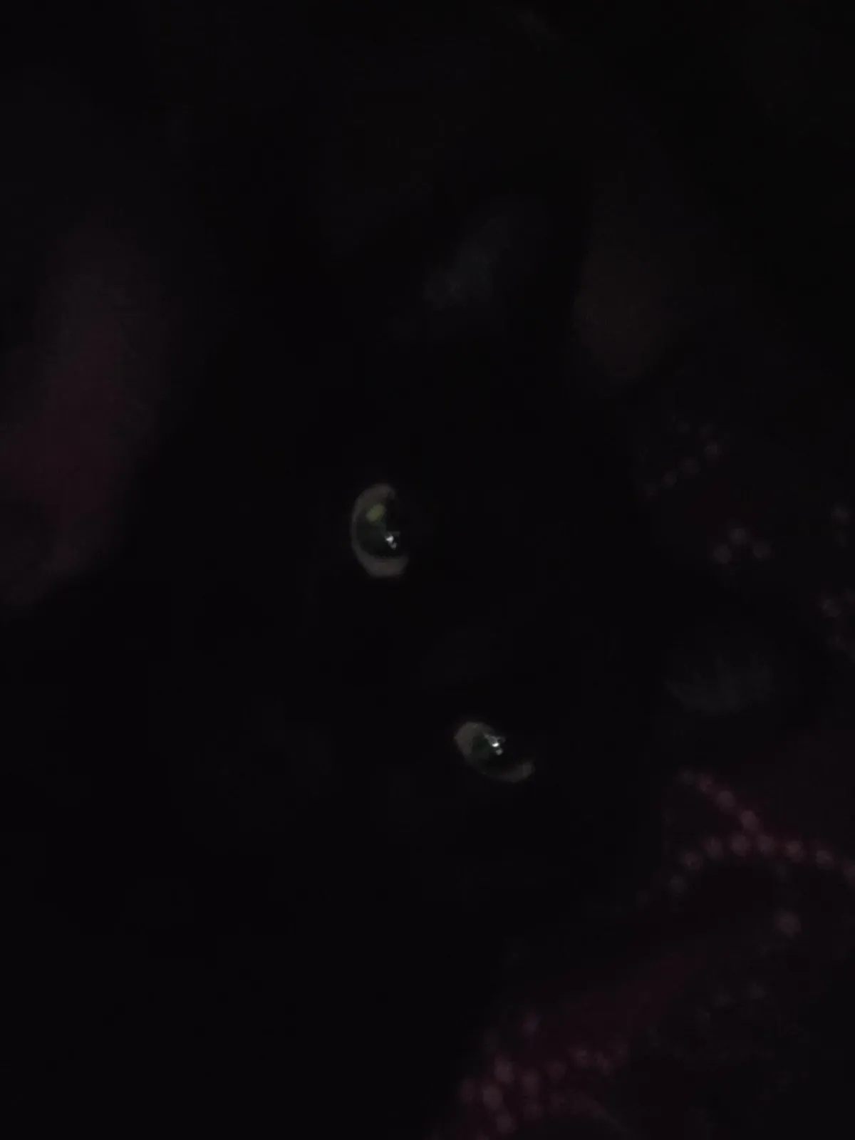 This normal after I get surgery???