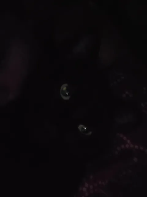 This normal after I get surgery???