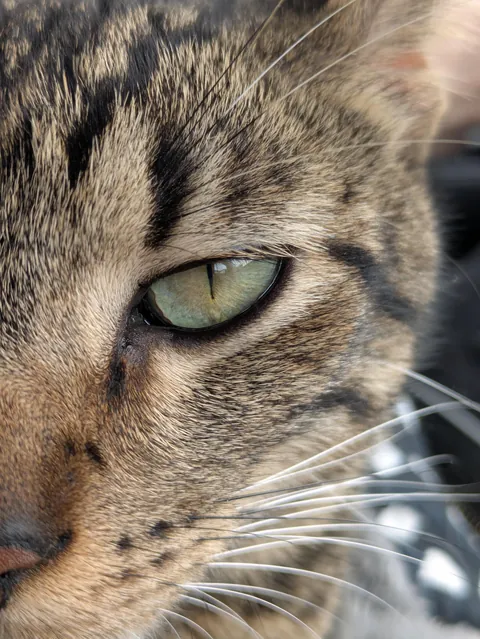 My bubba passed away suddenly.