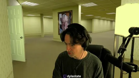 dylantate’s stream crashes from chat spamming hundreds of CaseOh’s