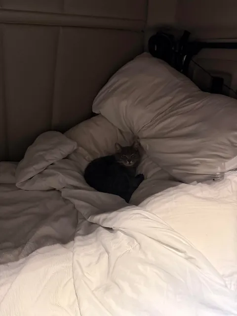 Lola is a truck driver 🚛!! She is 11 years old. 🙂