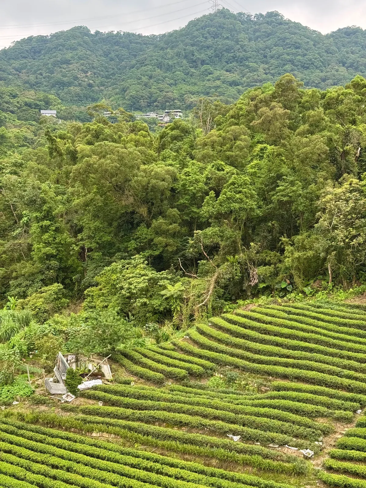 My 8 Days in Beautiful Taiwan