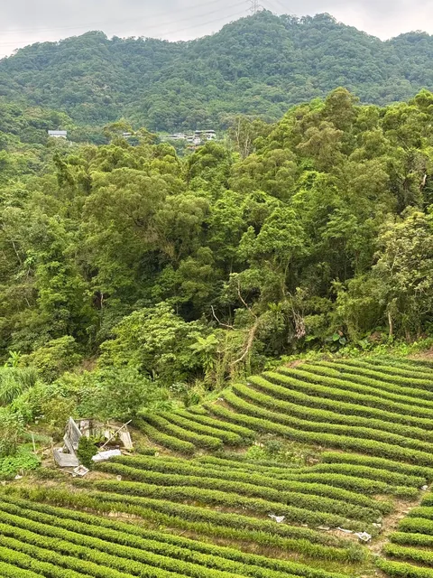 My 8 Days in Beautiful Taiwan