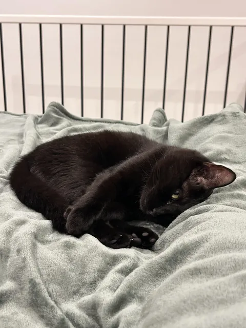 2 years old but still, just a baby