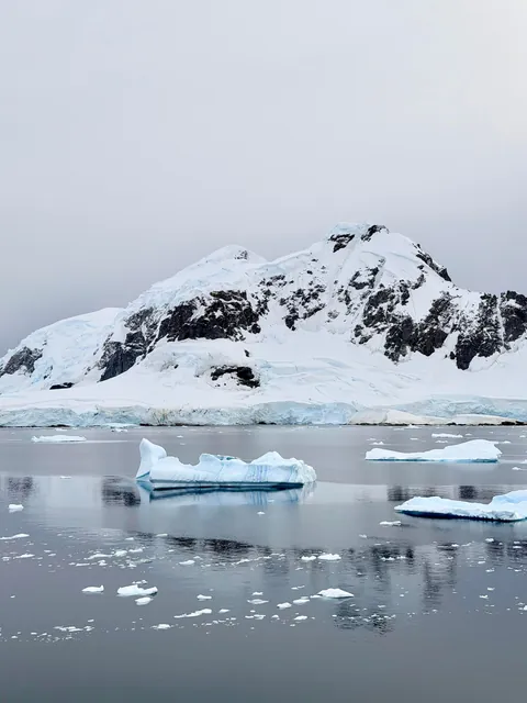 10 days in Antarctica: Wildlife, the Drake Passage and what the expedition was like [OC]