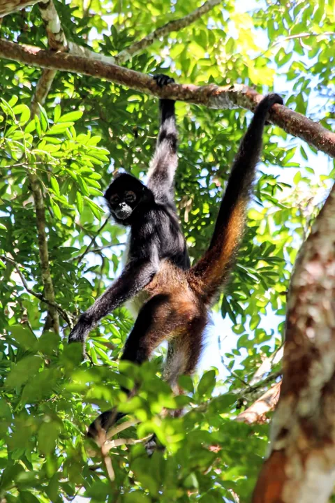 Short but sweet trip to Belize