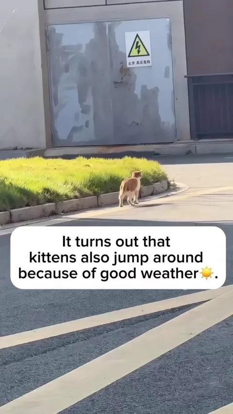 This’s soo cute 🥺