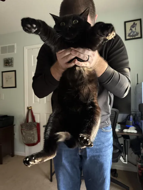 Now presenting…this heckin thing