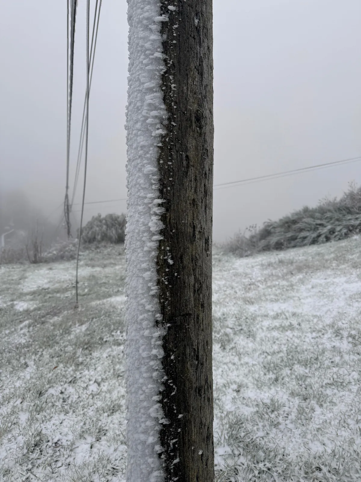 Primeros copos de nieve del año! O Cebreiro, frontera Lugo-León