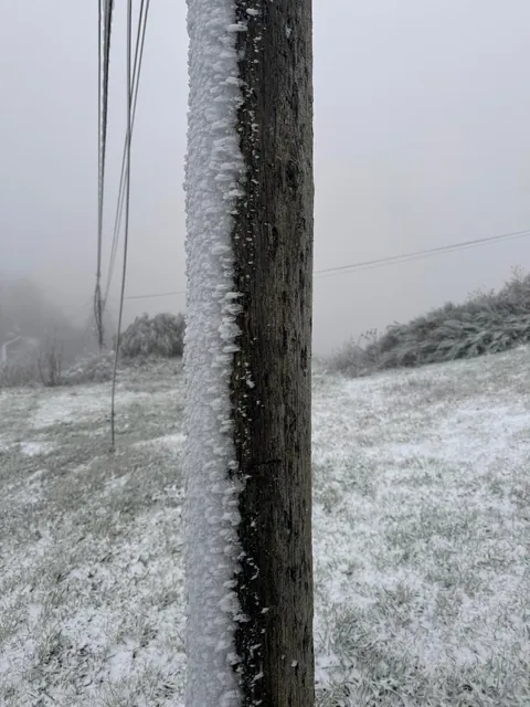 Primeros copos de nieve del año! O Cebreiro, frontera Lugo-León