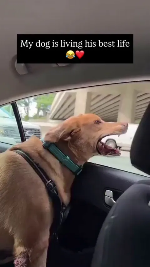 He looks so happy 😭🫶🏾 -- Bethany Driggers