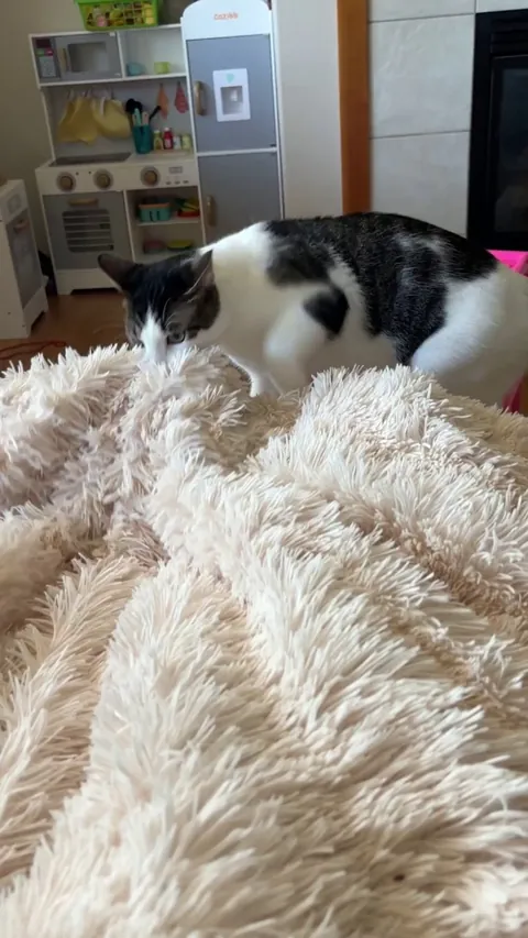 Excuse me sir that’s mine.