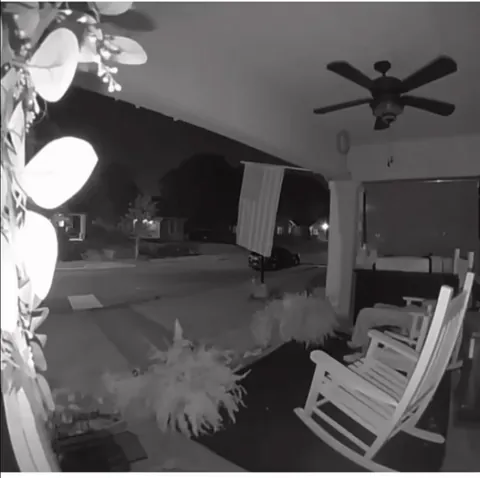 Lady and her dog walked right past the creepy guy