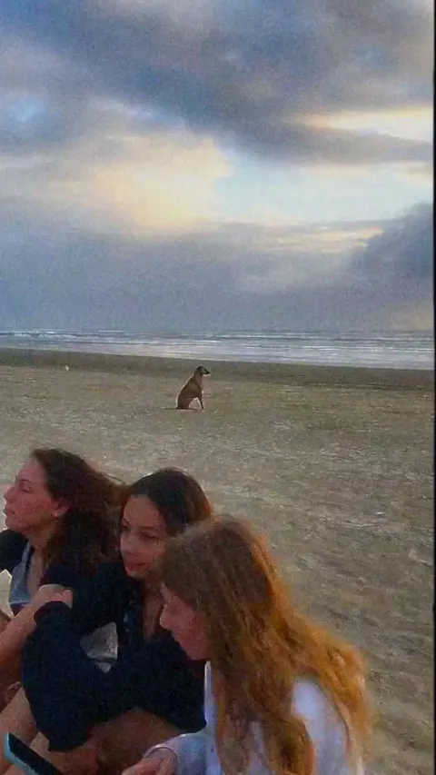 He's Deep into the Sunset