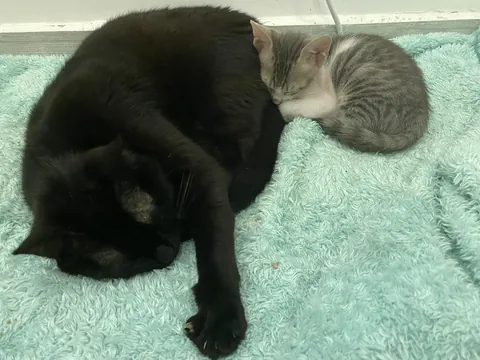 7 years with my Middle Eastern girl