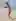 Daniela Alonso