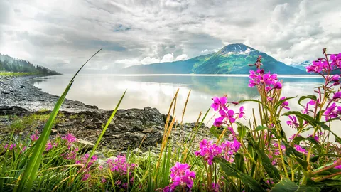 Drove 27 minutes to get here. And that's why I love Alaska. Turnagain Arm [OC][1920x1080]