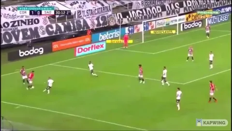 [BRASILEIRÃO] Two of the biggest clubs in the country, São Paulo and Corinthians, faced each other yesterday. This happened. I have no words.