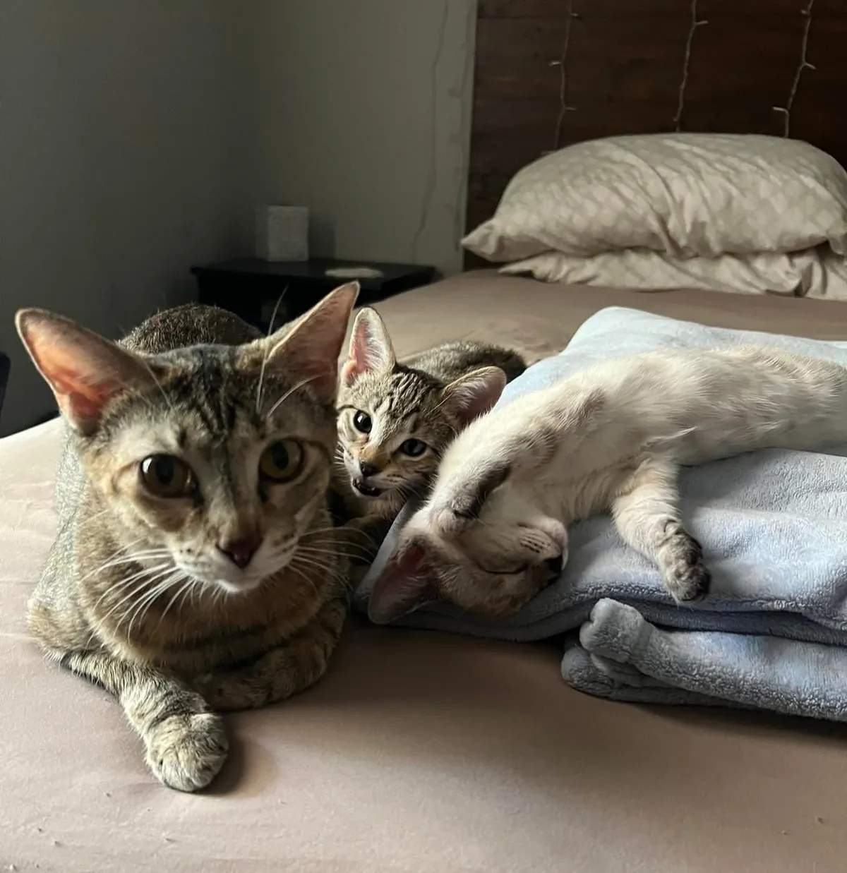 Kept the family together