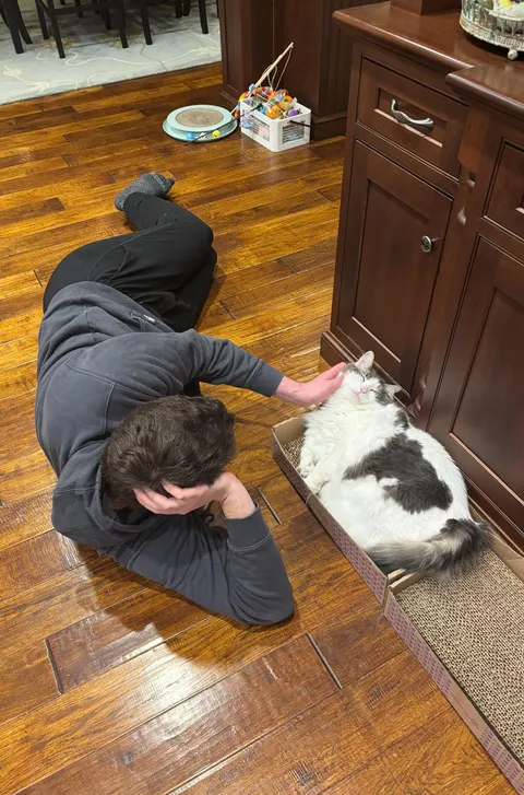 I caught my boyfriend bonding with my cat