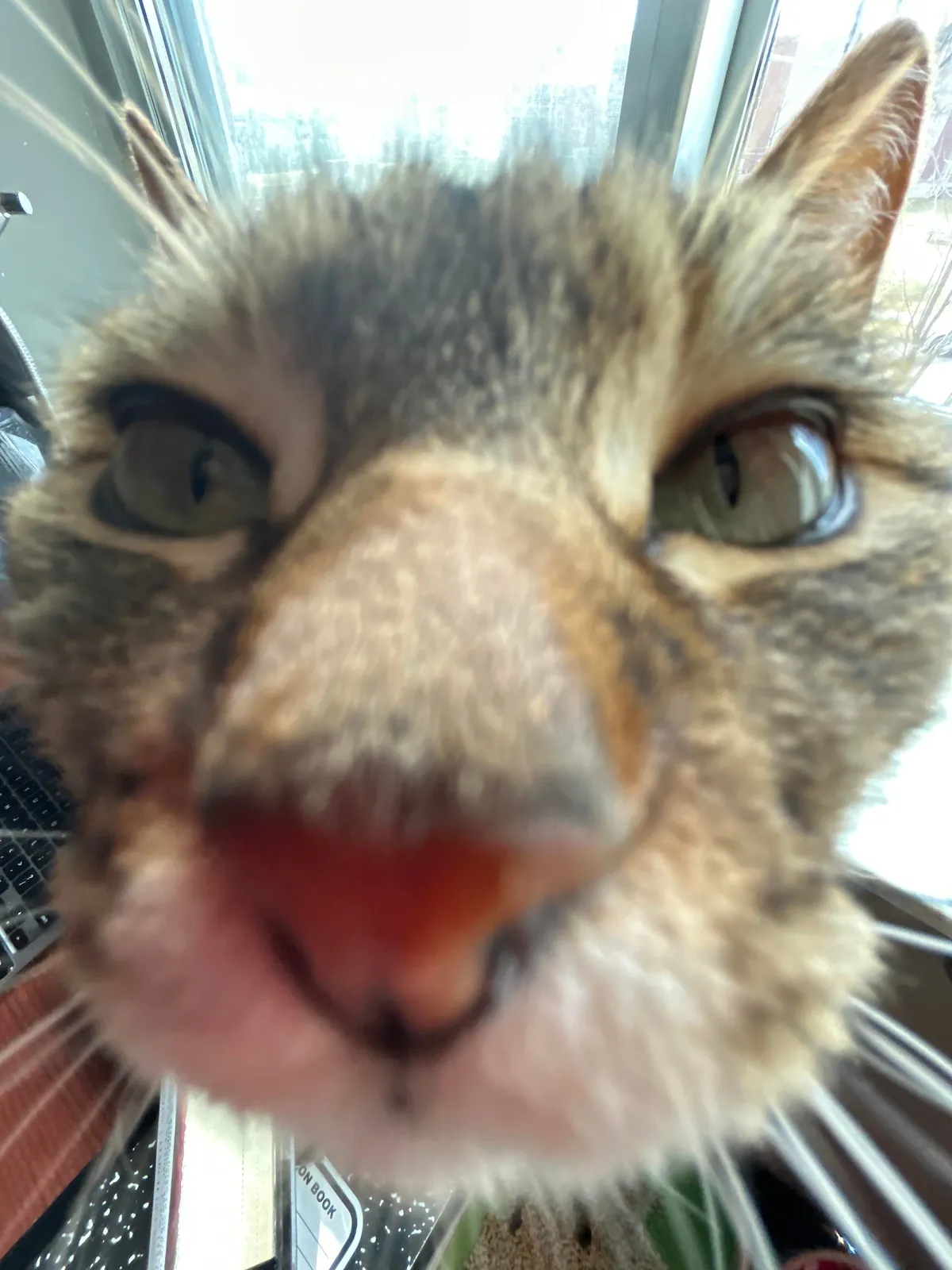 Way too smart I’m scared