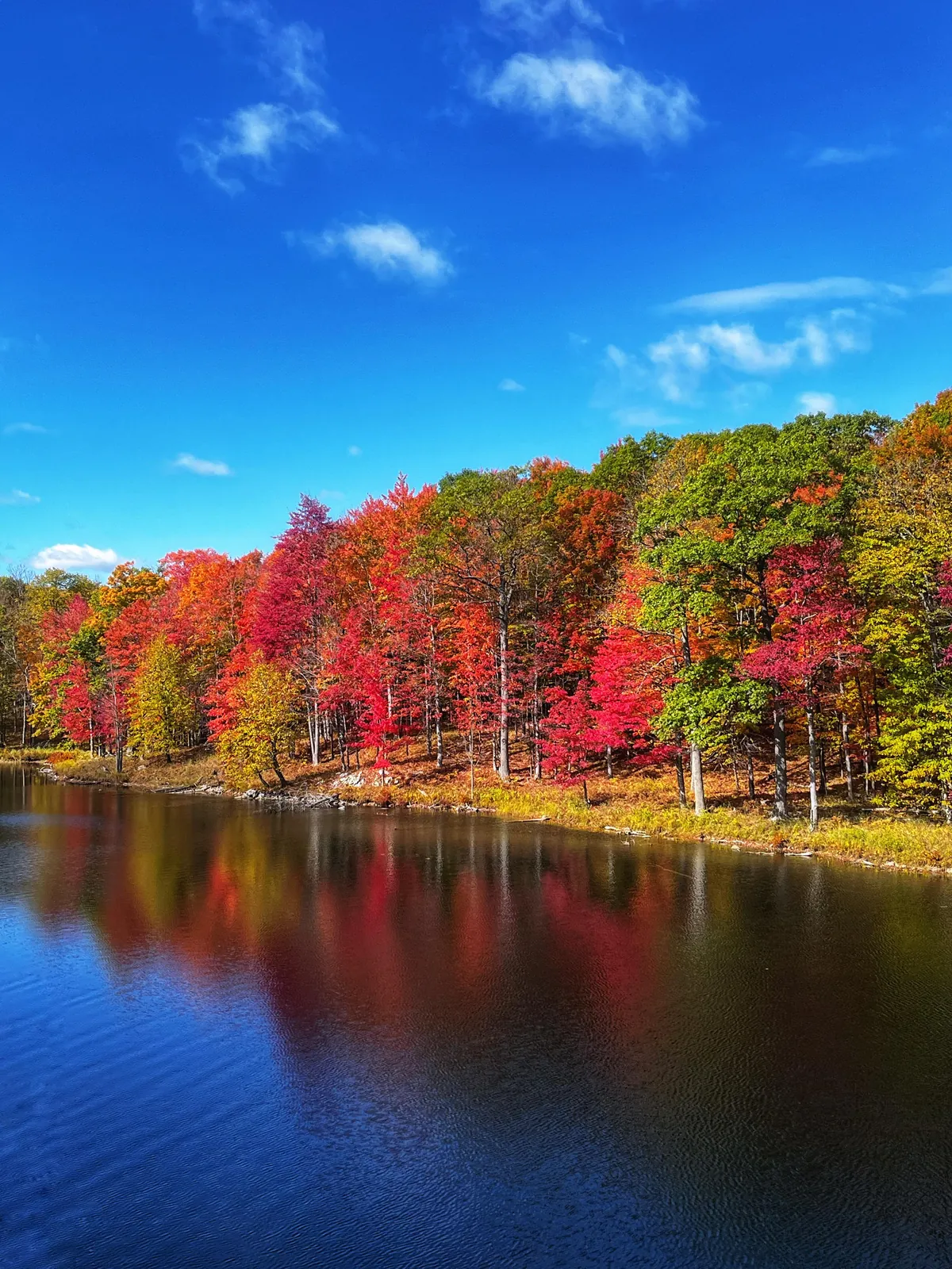 South Frontenac, Ontario Canada [3024x4032] (OC)