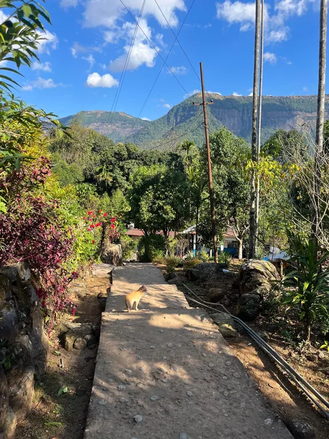 Scenes from my travels across India 🇮🇳