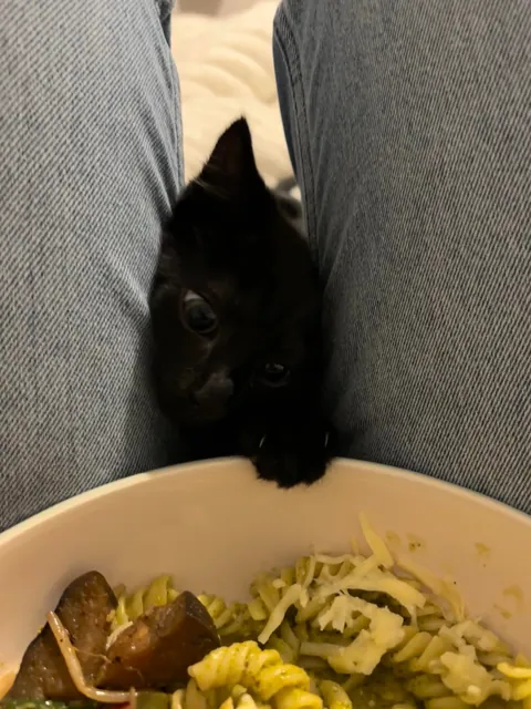 Does anyone else have a nickname that they call their void?