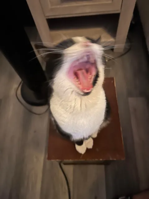 Pluto: 1 month to 1 year