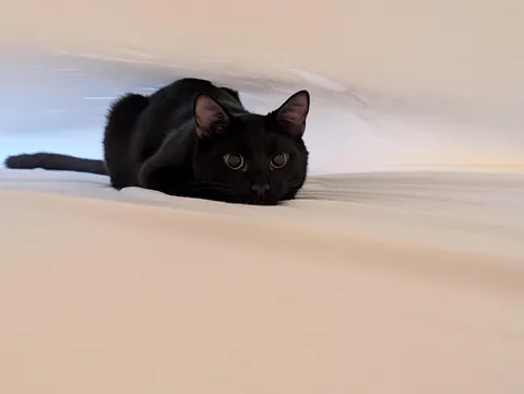 He loves to help make the bed