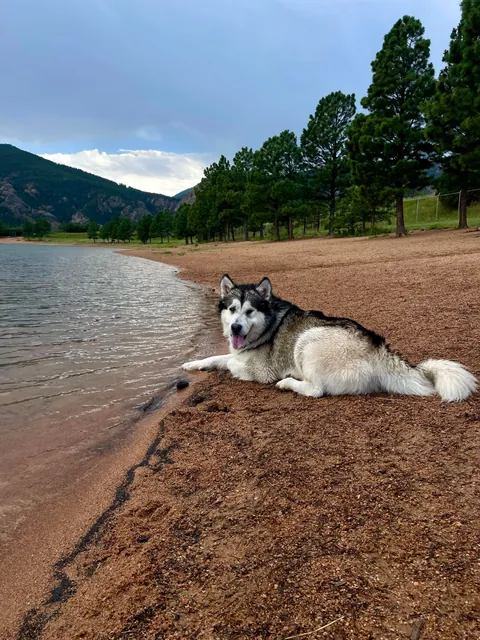 One of my favorite pictures I’ve ever taken - and the goofiness leading up to it!