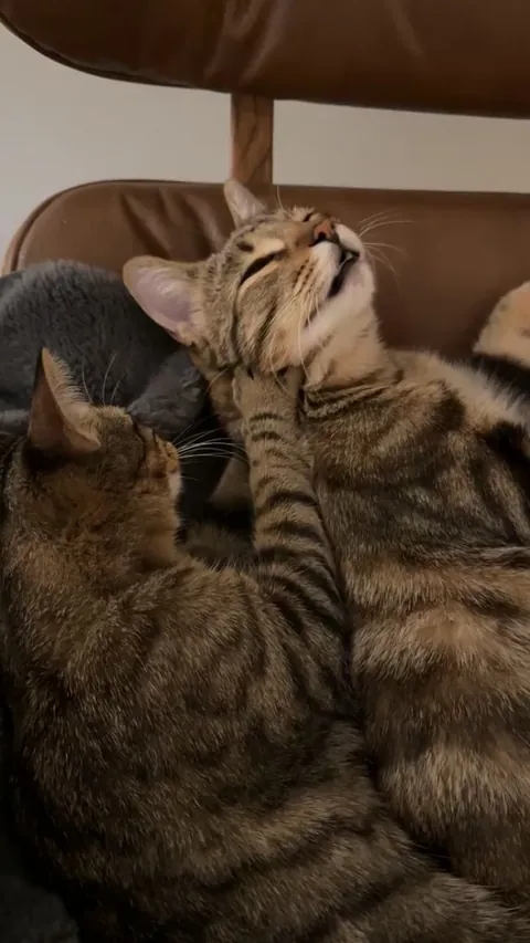 Best thing I’ve ever captured on camera