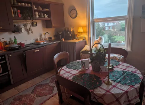 Early this morning - the little Christmas kitchen that could with 🐈❤️