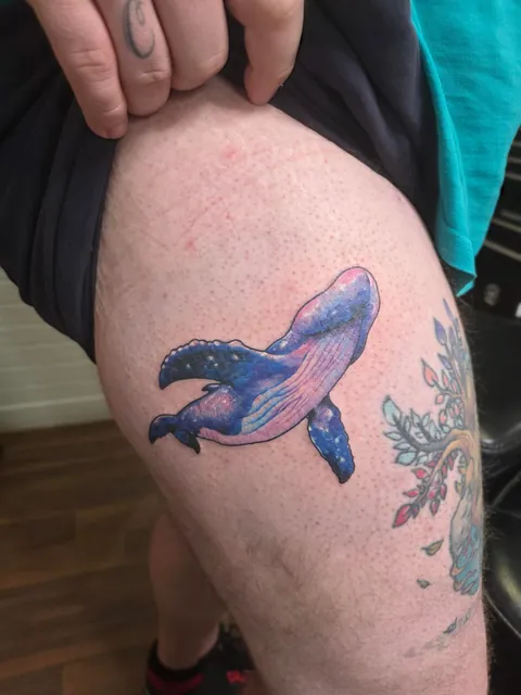 Lucas/Black Engine/ Toronto