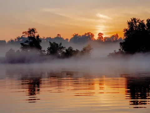 ITAP of a frog-shrouded dawn.