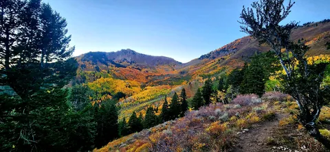 Mount Raymond, Big Cottonwood Canyon Utah USA [OC] [4000x1848]