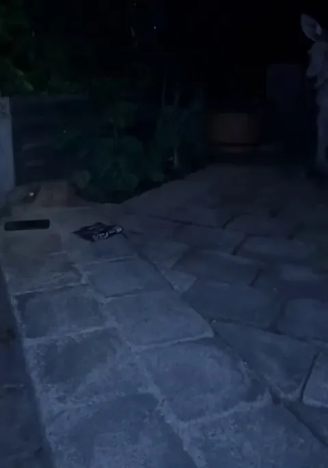 🔥 Massive kangaroo just passing by