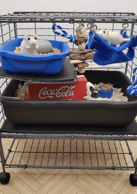 Table Top Rat Zen Garden