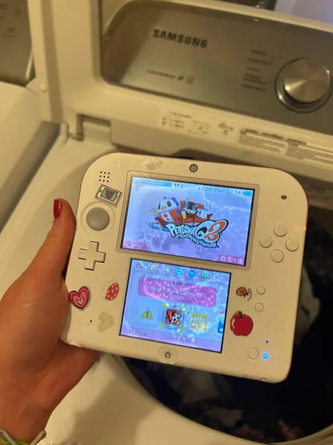 Very sad day. I accidentally washed my DS it's not working
