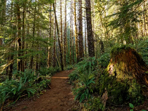 Oregon Coastal Range.[OC][4000x3000]