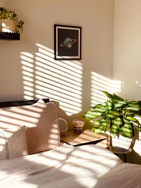 Trying to romanticize my rent part ✌🏻