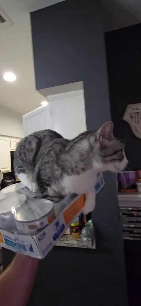 New day new way to go up the stairs