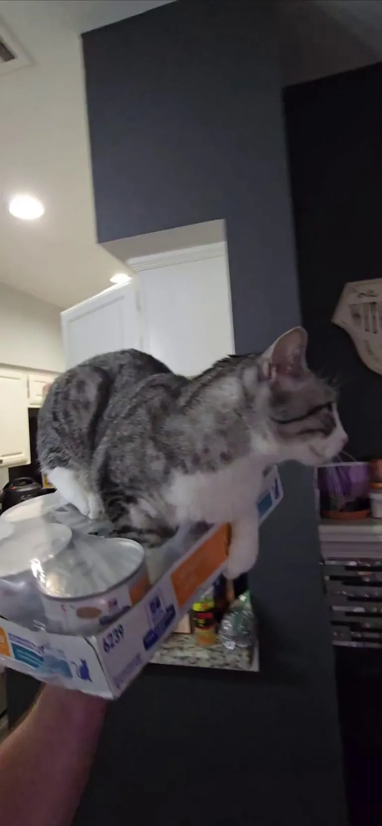 New day new way to go up the stairs