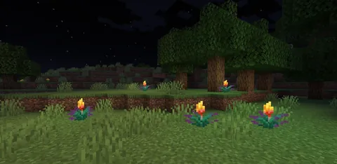 It's 2026 and Torch Flowers still don't emit any light source...