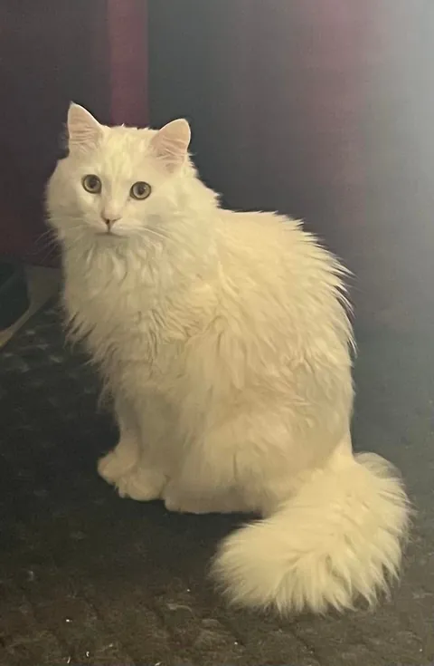 Just an appreciation post