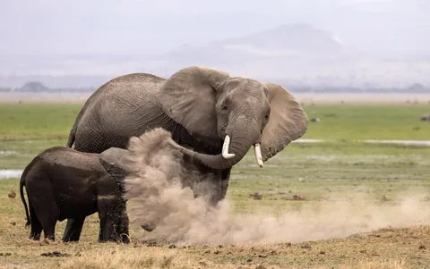 🔥🔥the Best funny nature pics