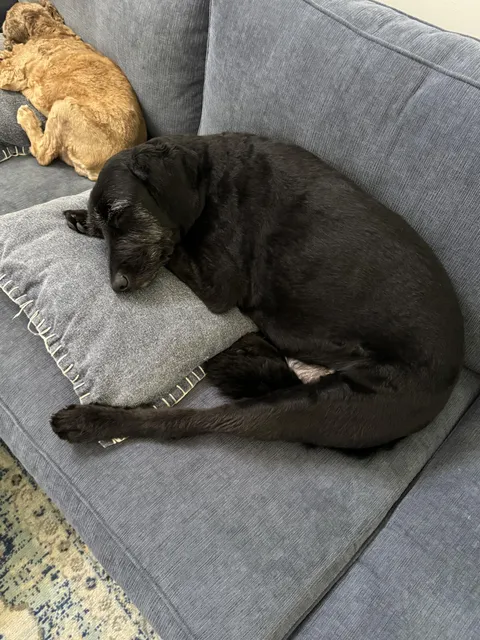 Who sleeps like that?🤣