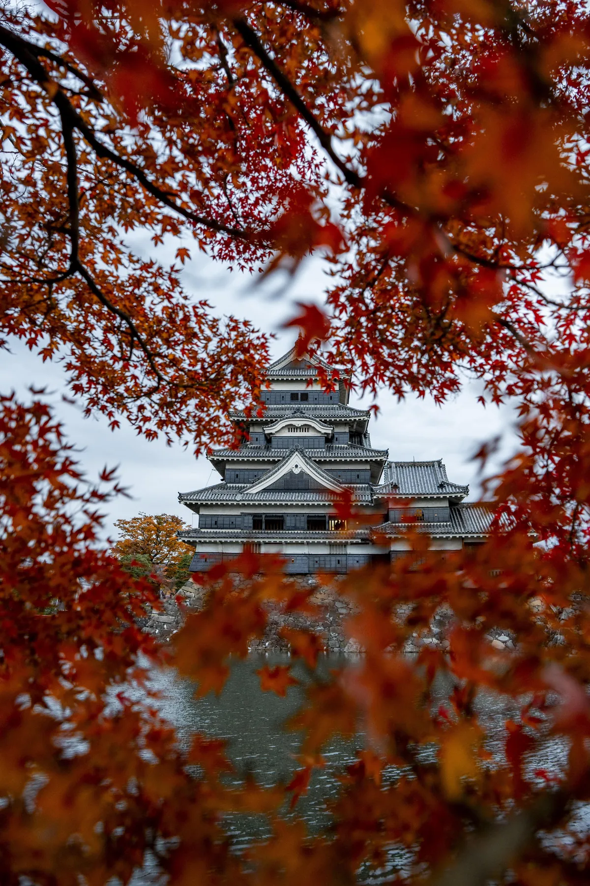 ITAP of Matsumoto Castle in fall