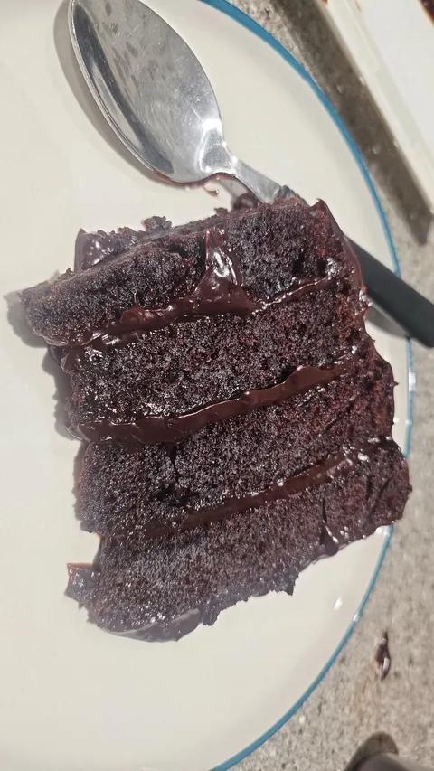 [Homemade] I Made A Fudgy Matilda Chocolate Cake