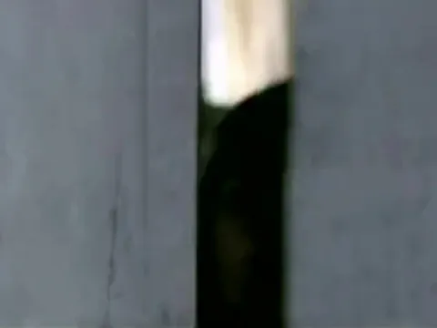 Sakina Jaffrey Nude in Cotton Mary (1999)